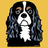 Cavalier King Charles Spaniel Doodle