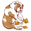 Bulldog making crochet squares