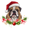 Dog Christmas
