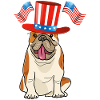 Motif Dog, America