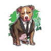 Pitbull Pitbull koira Pitbull vaatteet pitbullit