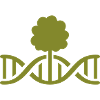 DNA Forest 2