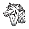 V8 Pferdekopf