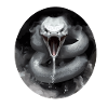 Kamu