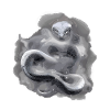 Kemuri