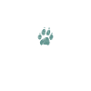 Hundeliebe dog love