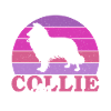 Collie Gifts