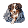 Cute Dog Puppy Australian Shepherd