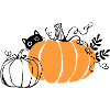 Pumpkins with black cat