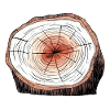 Shaft cross-section