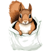 Boog the Squirrel