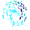 School of fish,fish,painting,graffiti,shark
