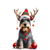 Merry Christmas - Schnauzer