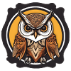 Wise Owl