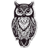 The Owl