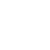 Damir