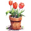 Greenhouse Garden Plants Gardener Retirement