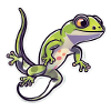 Lizard
