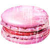 Pink Macaron
