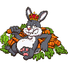 Bunny King