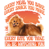 Pomeranian Zwergspitz