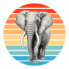 African elephant