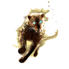 Raito