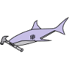 hammer head shark
