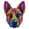 Berger Belge Malinois