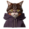 Chat Propriétaire Chat Domestique Chaton