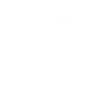 Grand dragon celtique blanc