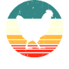 Chickens Chicken