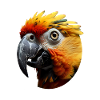 Parrot