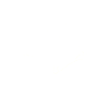 Mantarochen Anatomie Mantarochen Liebhaber