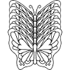 Butterfly Effect