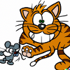 cat and mouse