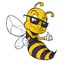 Cute bee wasp bumblebee
