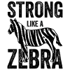 Zebra crossing EDS Consciousness Band