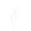 fine flower