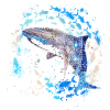 School of Fish,Fish,Painting,Graffiti,Shark,Mosaic
