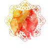 Pomeranian Zwergspitz