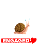 Amateur d’escargots Mode escargot