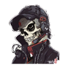 Skulls Skull Skull Skull Bones
