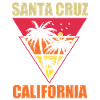 California Surfing Santa Cruz