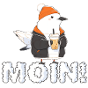 Moin Moin Möwe!