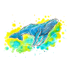Humpback whale