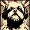 Shih Tzu Pop art