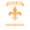 Garçon scout