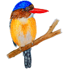 Bunter Vogel