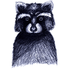 Dark black and white raccoon